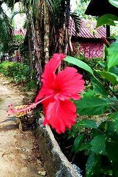 Simply Life Bungalow Ko Lanta