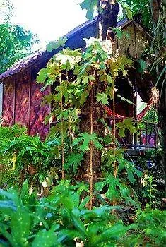 Simply Life Bungalow Ko Lanta Maison d'hôtes